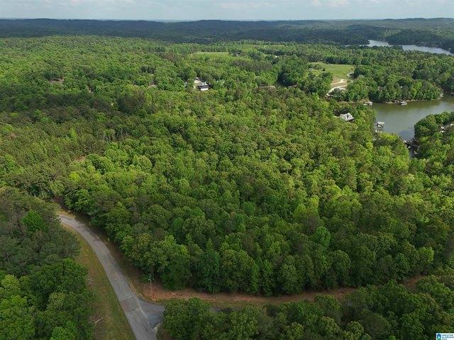 Land for sale in Wedowee, Alabama