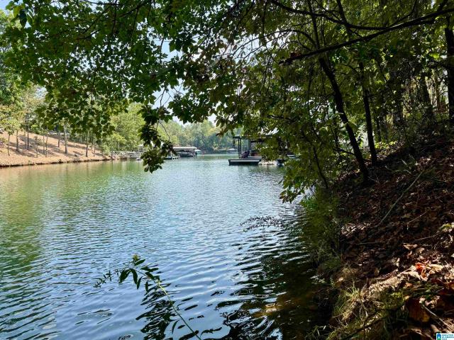 Land for sale in Wedowee, Randolph County