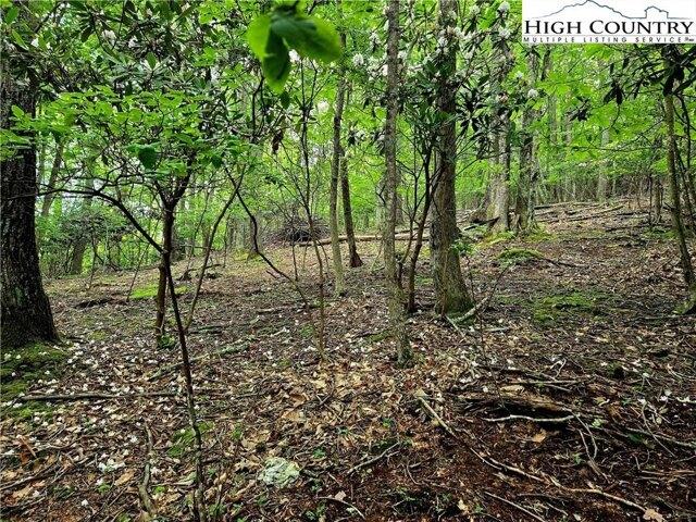 Land for sale in Boone