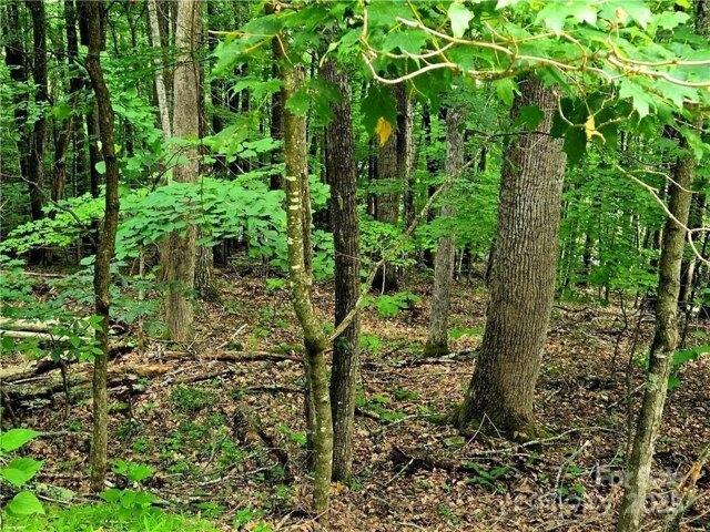 Land for sale in Boone