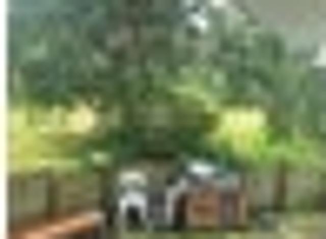 House for rent in Papakura, Oroua County