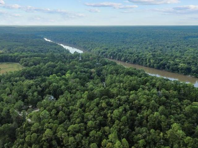 Land for sale in Jesup, Georgia