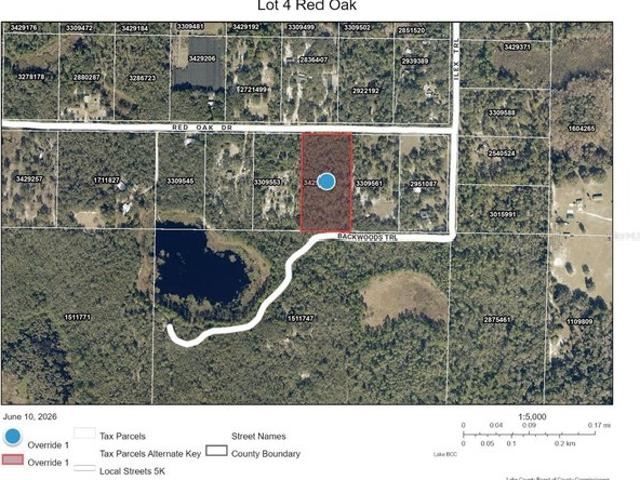 Land for sale in Eustis, Florida