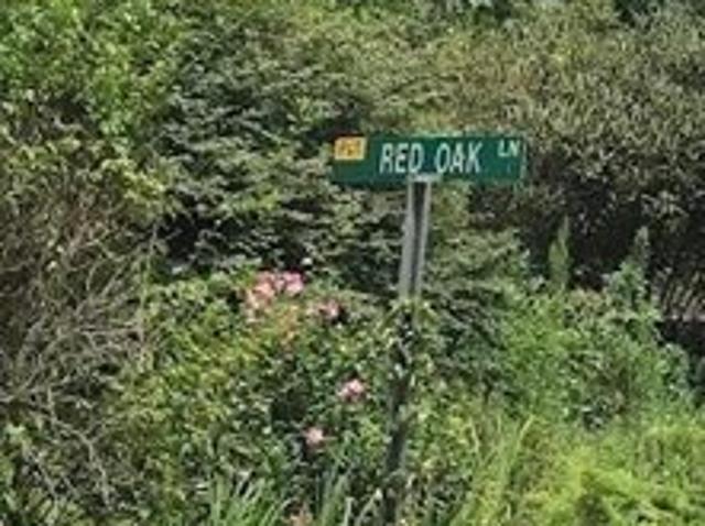 Land for sale in Yancey, North Carolina