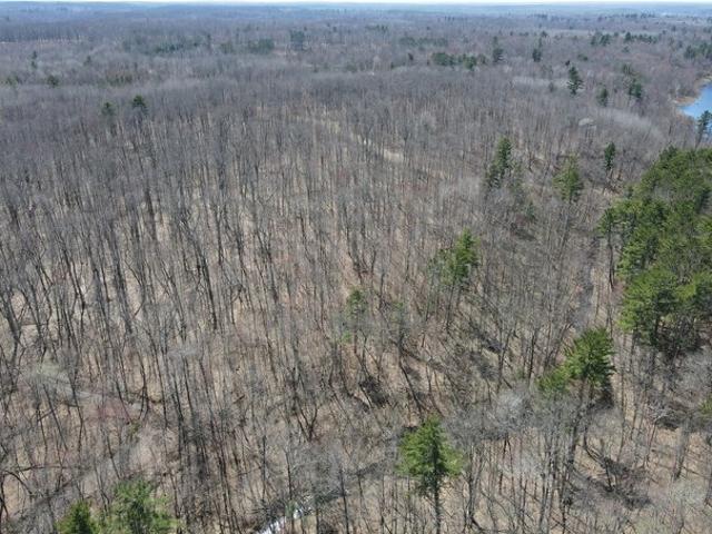 Land for sale in Springbrook, Wisconsin