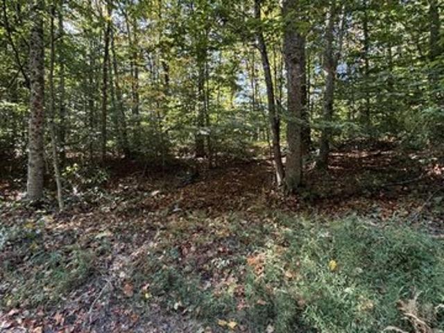 Land for sale in Fayetteville, West Virginia