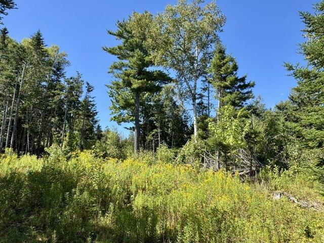 Land for sale in Pembroke, Washington County