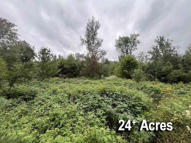 Land for sale in Wheelock, Caledonia County