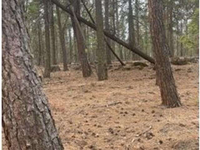 Land for sale in Goldendale, Washington