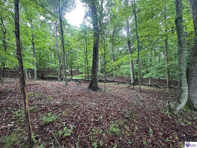 Land for sale in Brandenburg, Kentucky