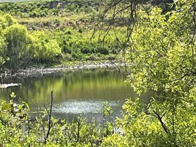 Land for sale in Lady Lake, Florida