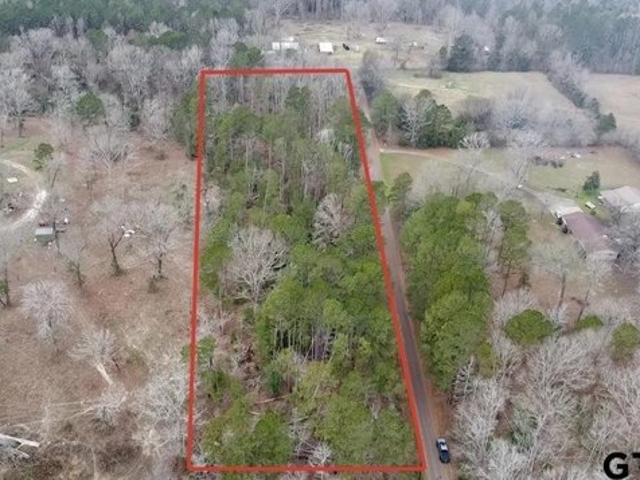Land for sale in Diana, Texas