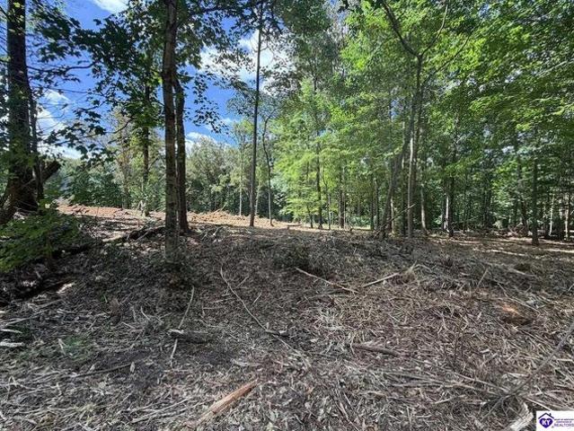 Land for sale in Rineyville, Kentucky