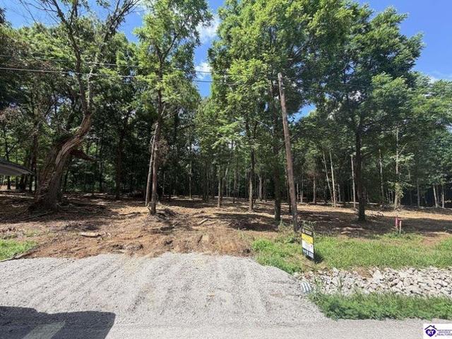 Land for sale in Rineyville, Kentucky