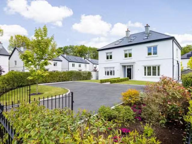 House to rent