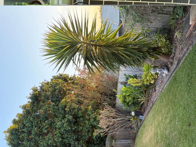 Room for rent in Point Talburpin, Greater Brisbane