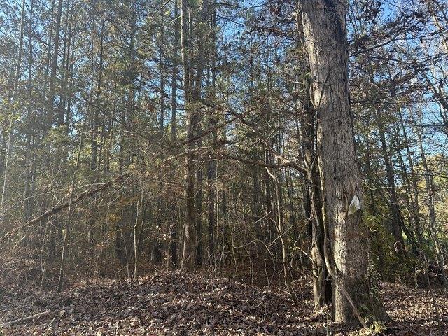 Land for sale in Tennessee
