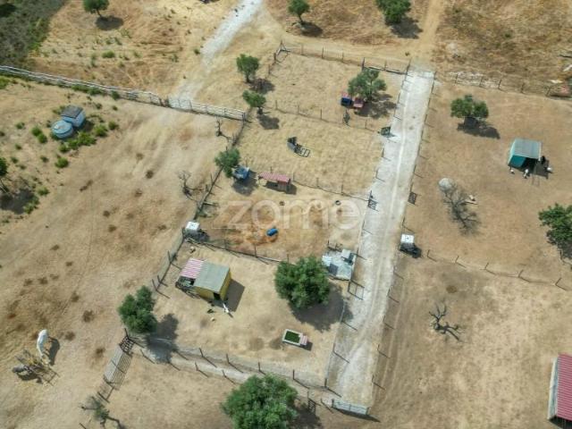 Terreno venda em Redondo, Évora