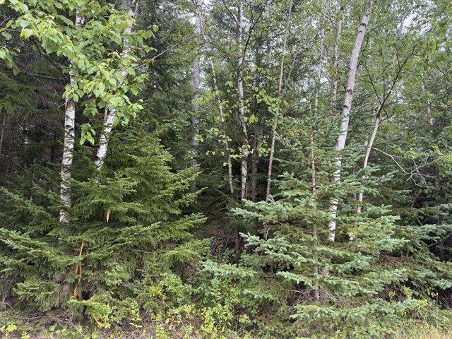 Land for sale in Eastport, Maine
