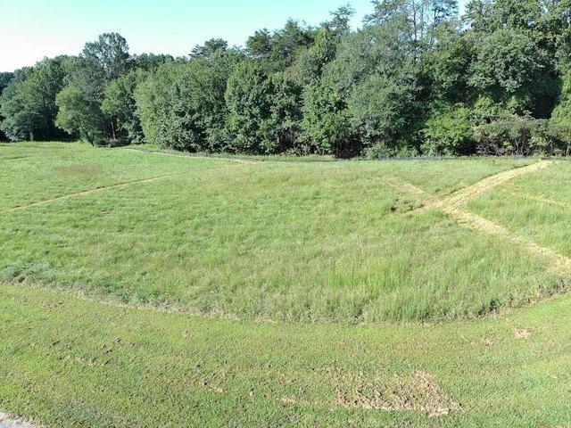 Land for sale in Morganton, Georgia