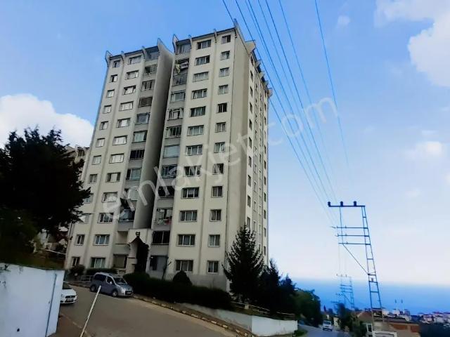 Akçaabat, Trabzon içerisinde kiralık mülk