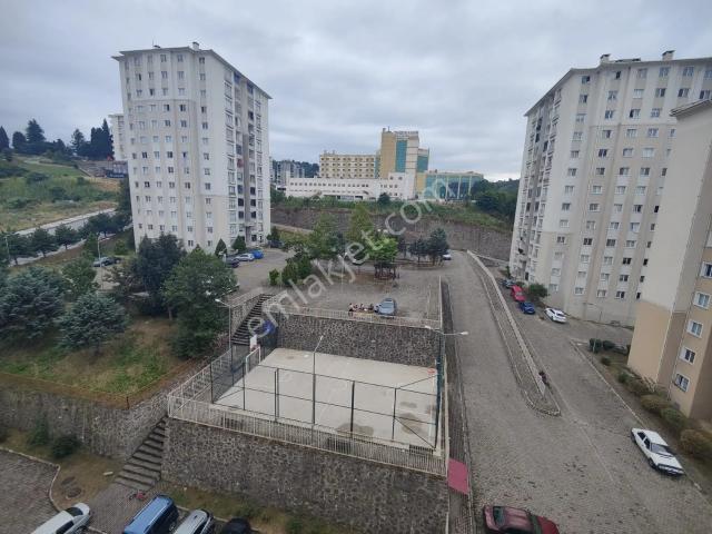Yomra, Trabzon içerisinde kiralık mülk