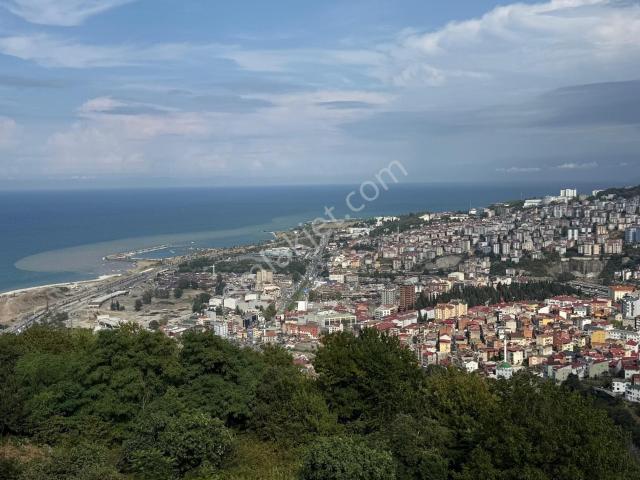 Trabzon, Ortahisar içerisinde satılık mülk