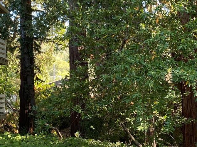 Apartment for rent in Lafayette, Contra Costa County