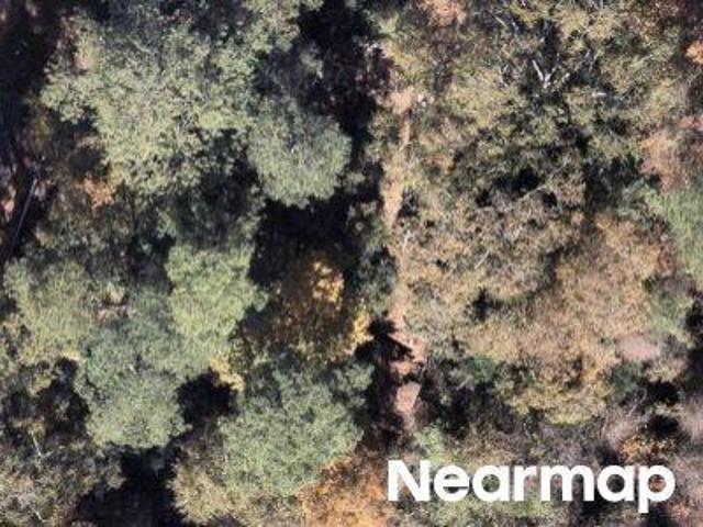 Land for sale in Darlington, South Carolina