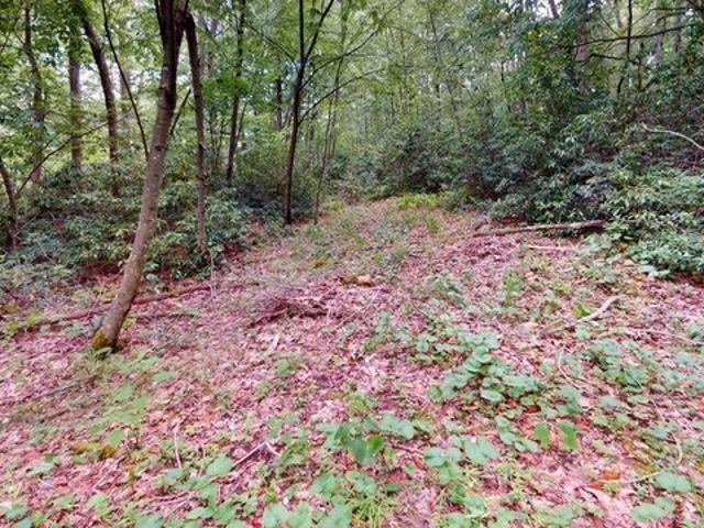 Land for sale in Terra Alta, West Virginia