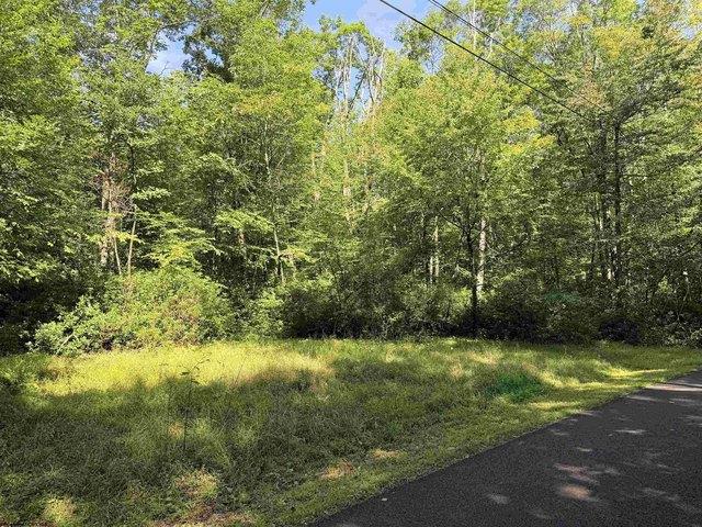 Land for sale in Terra Alta, West Virginia