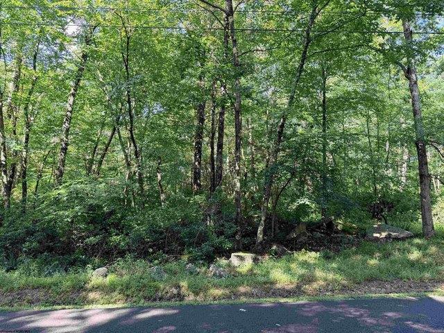 Land for sale in Terra Alta, West Virginia