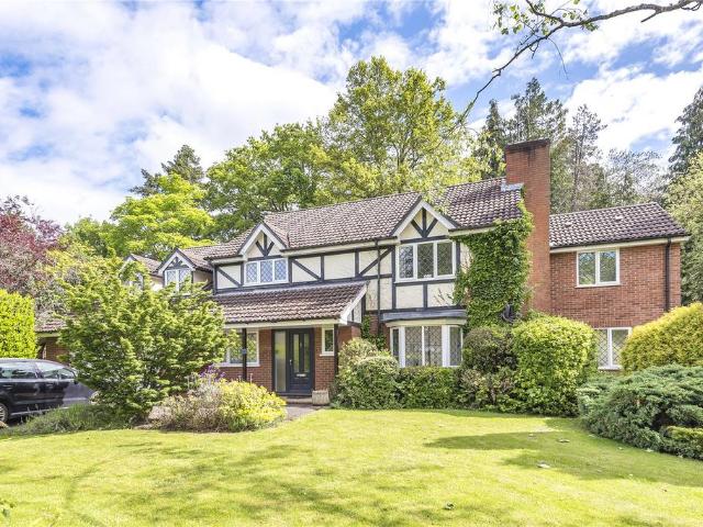 House for rent in Shrubs Hill, Sunningdale