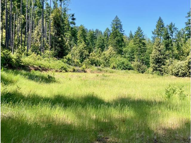 Land for sale in O Brien Land for sale in O Brien