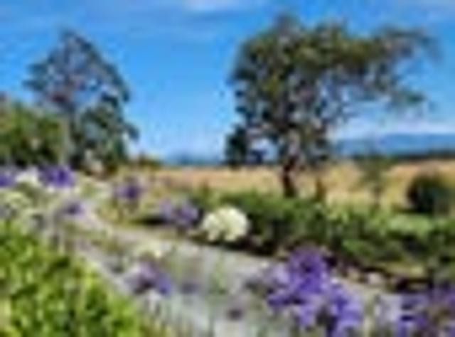 House for sale in Tasman