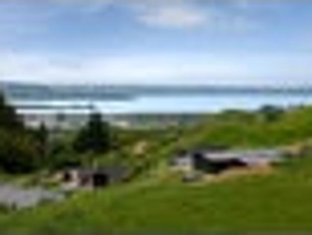 Land for sale in Bay Of Plenty