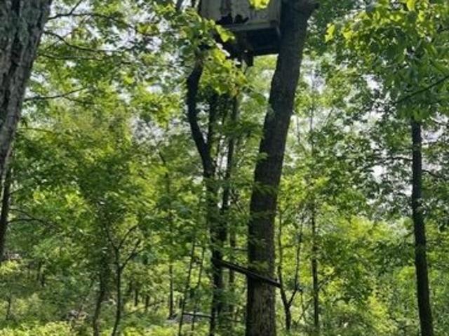 Land for sale in Knoxville