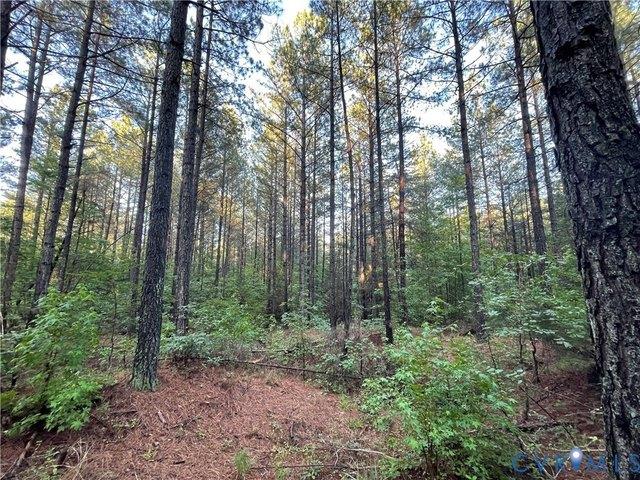 Land for sale in Virginia