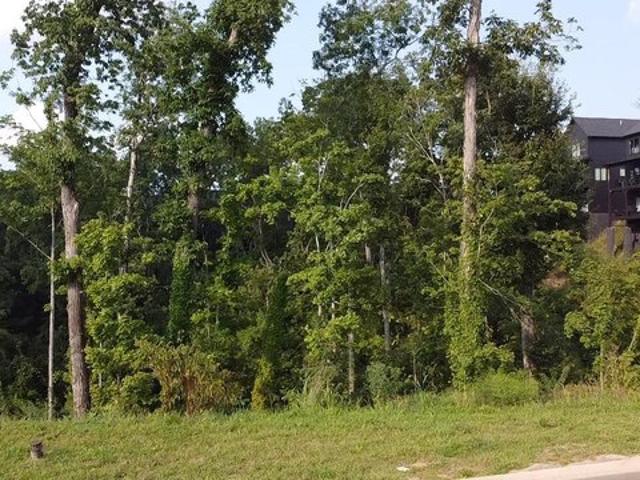 Land for sale in Tennessee
