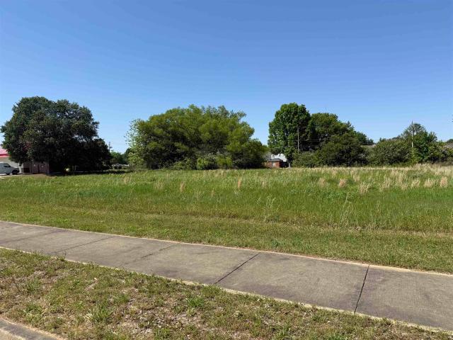 Land for sale in Tennessee