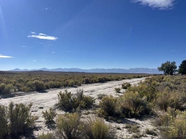 Land for sale in Elko, Nevada