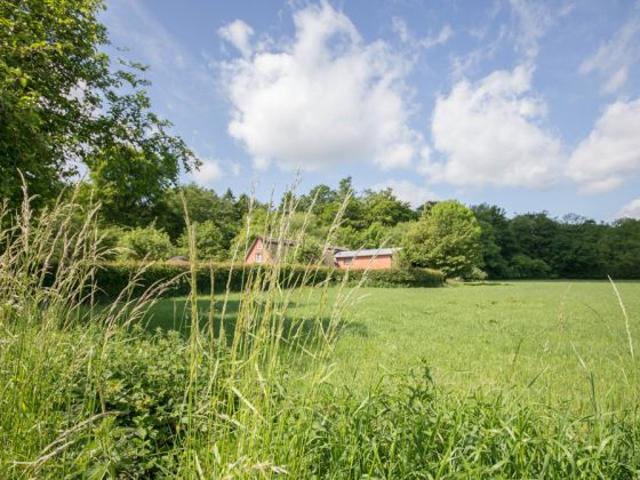 Haus kaufen in Gelting, Schleswig-Holstein