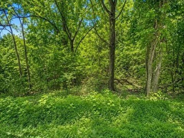 Land for sale in Tennessee