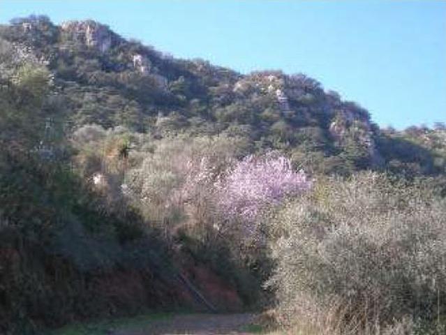 Terreno en venta en Comares