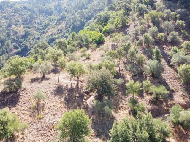 Casa en venta en Serranía de Ronda, Andalucía