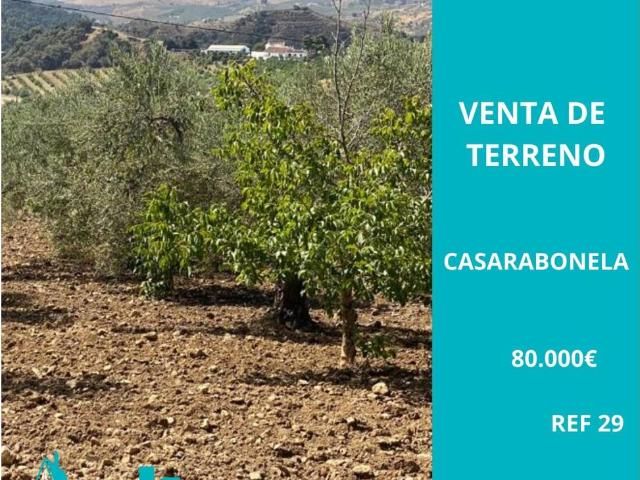 Terreno en venta en Casarabonela