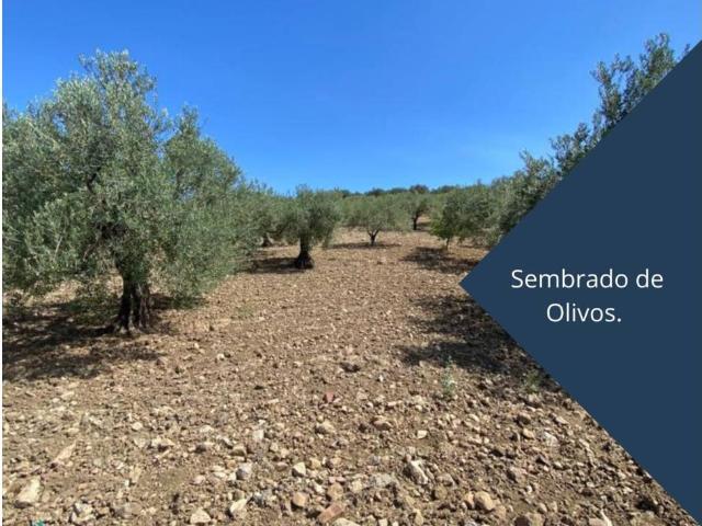 Terreno en venta en Sierra de las Nieves, Andalucía