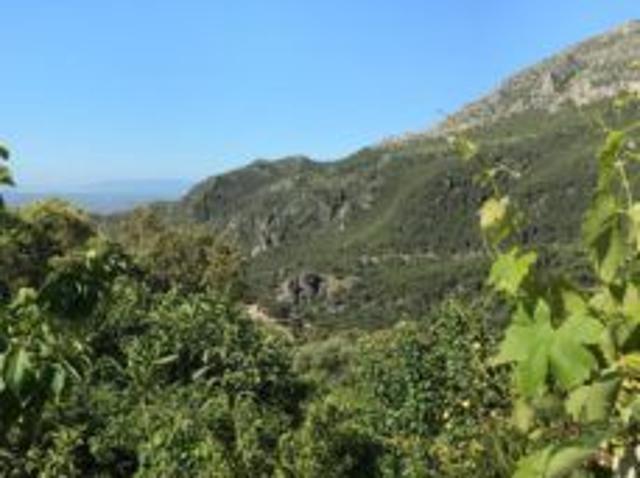Casa en alquiler en La Perla de Bahía, Casares