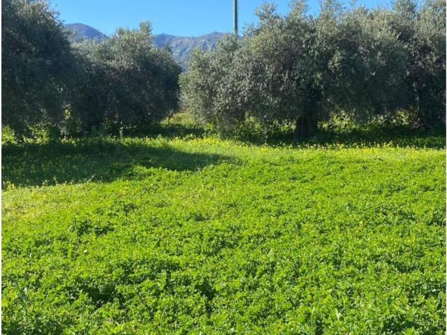 Terreno en venta en Los Tomillares, Valle del Guadalhorce