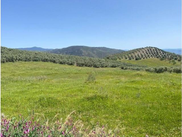 Terreno en venta en Sierra de las Nieves, Andalucía